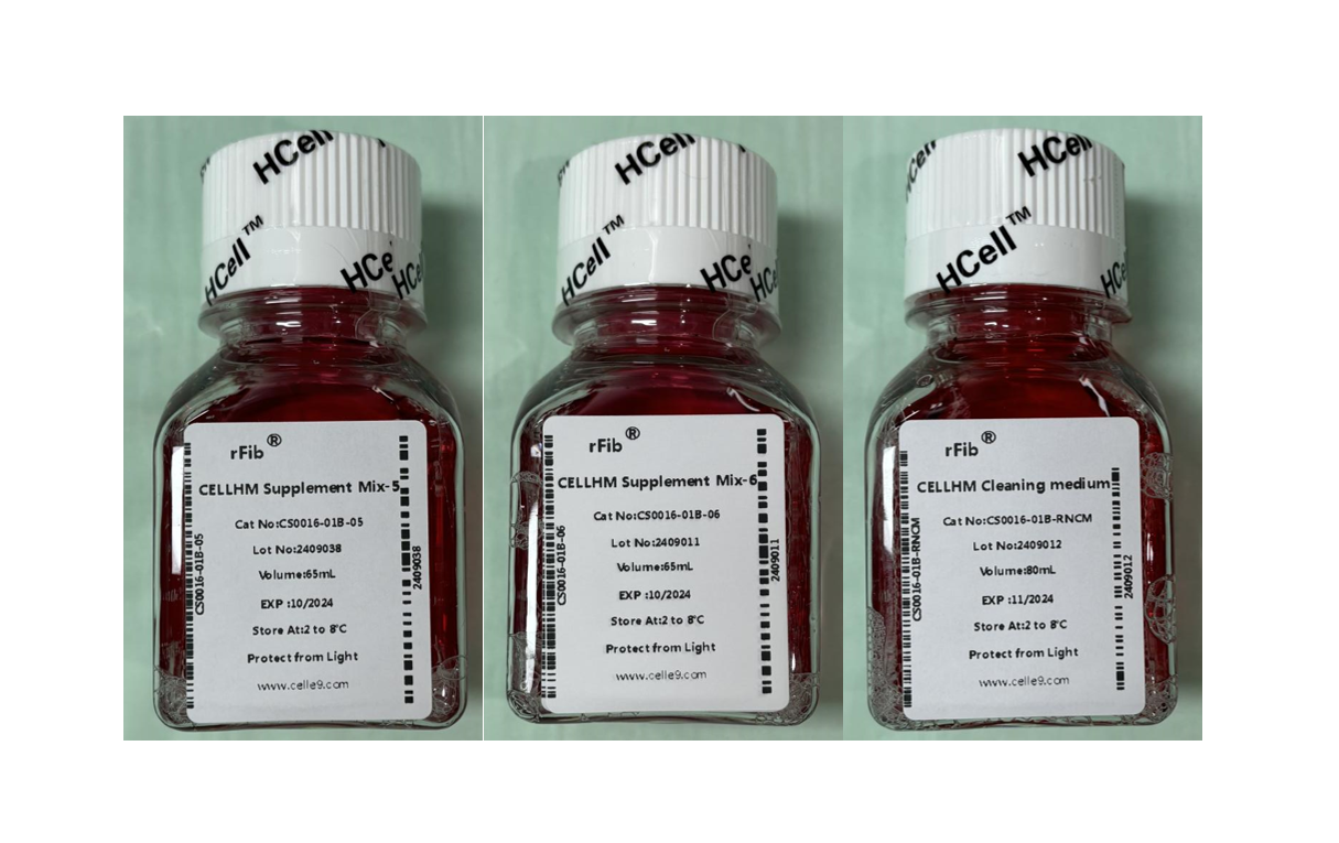 rFib Preparation Kit