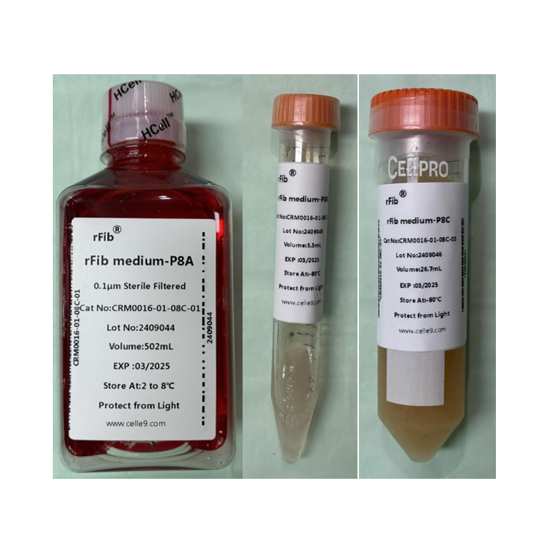 rFib medium